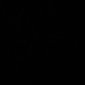 Meet your Posher, Jojo